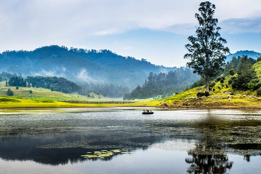kodaikanal