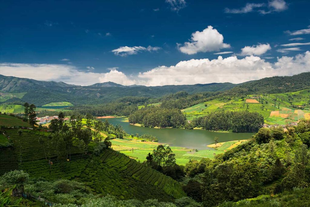 ooty south india