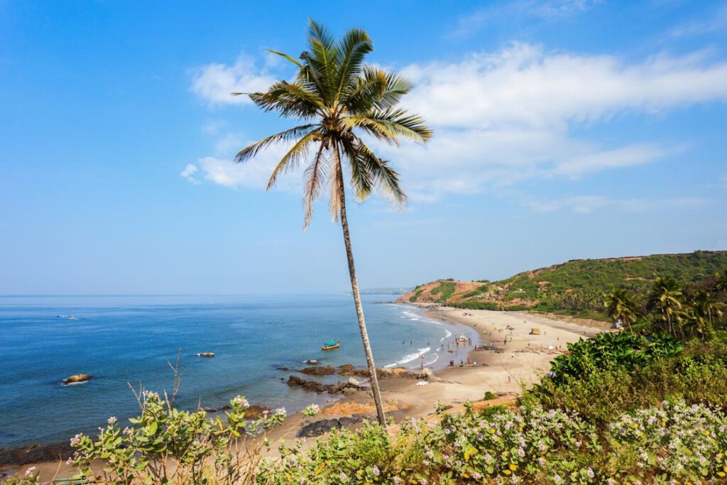 baga beach