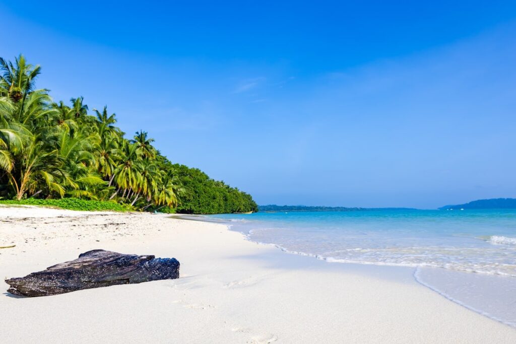 havelock island