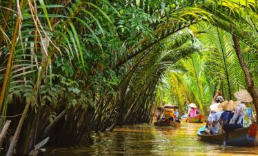 mekong delta