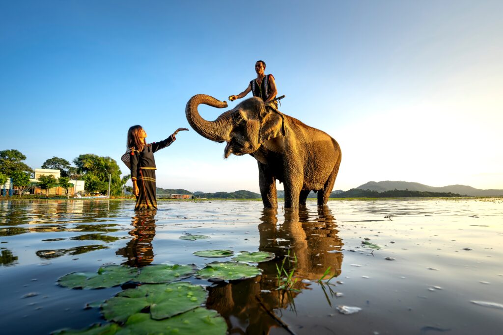 kerala things to do
