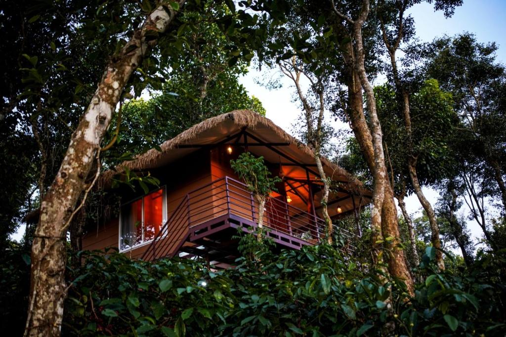 kerala tree house