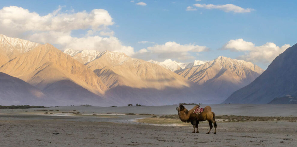 nubra