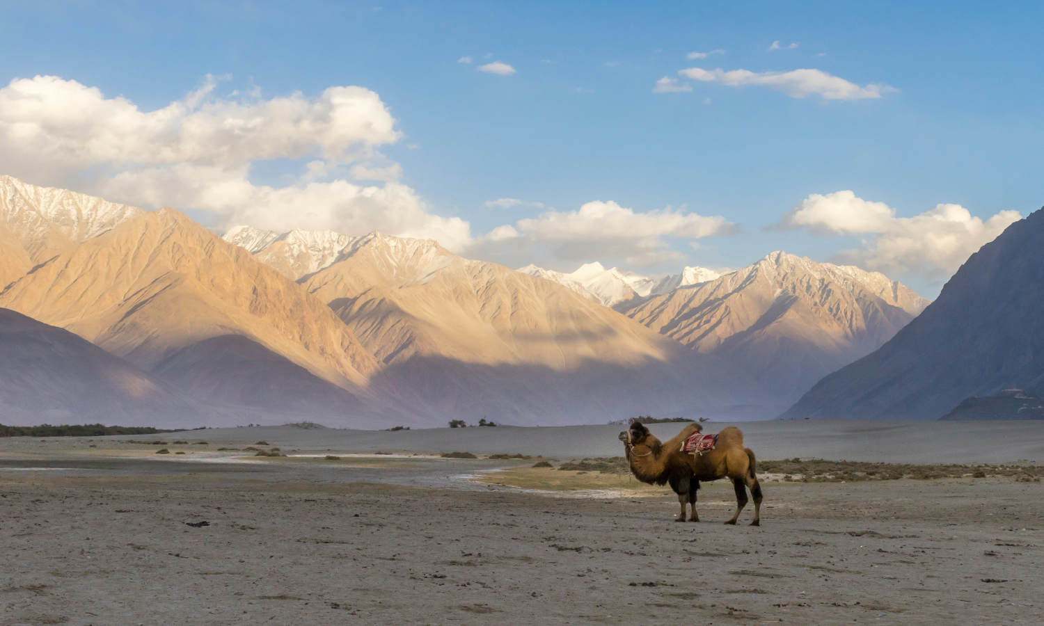 nubra