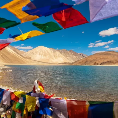 pangong ladakh