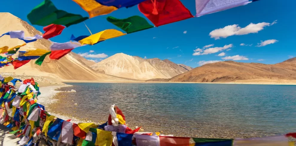 pangong ladakh