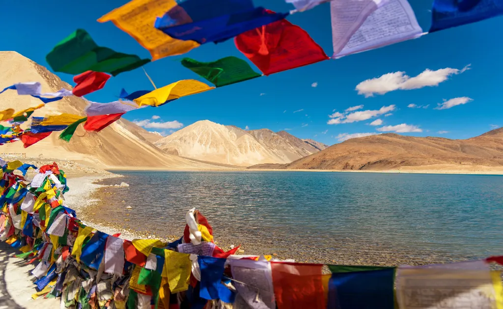 pangong ladakh