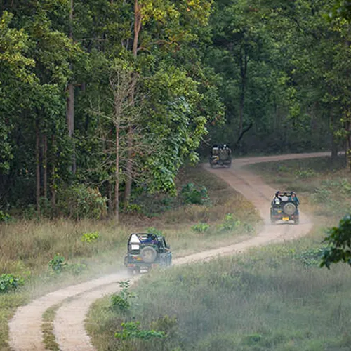 kanha national park