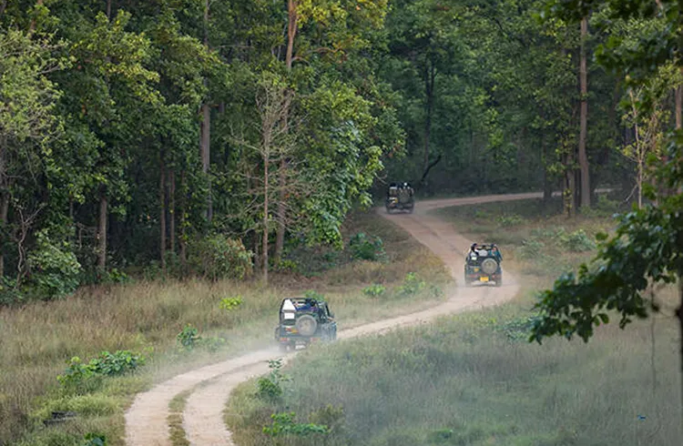 kanha national park