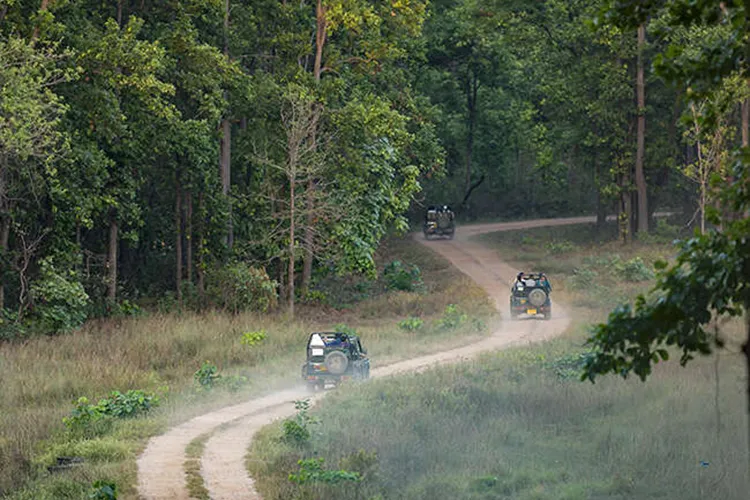 kanha national park